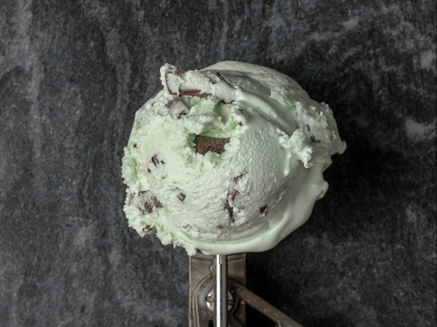 Mint chip ice cream scoop